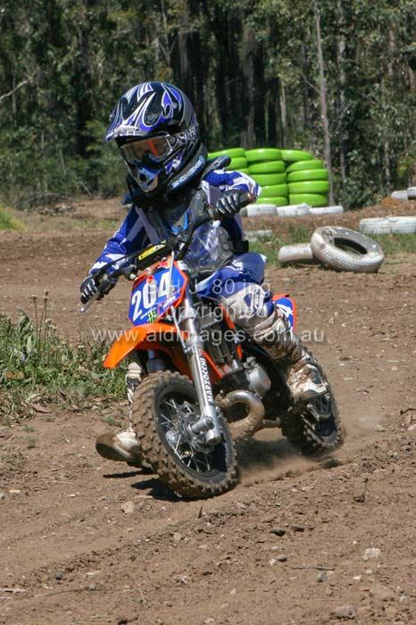 444x677 pixels (84K)